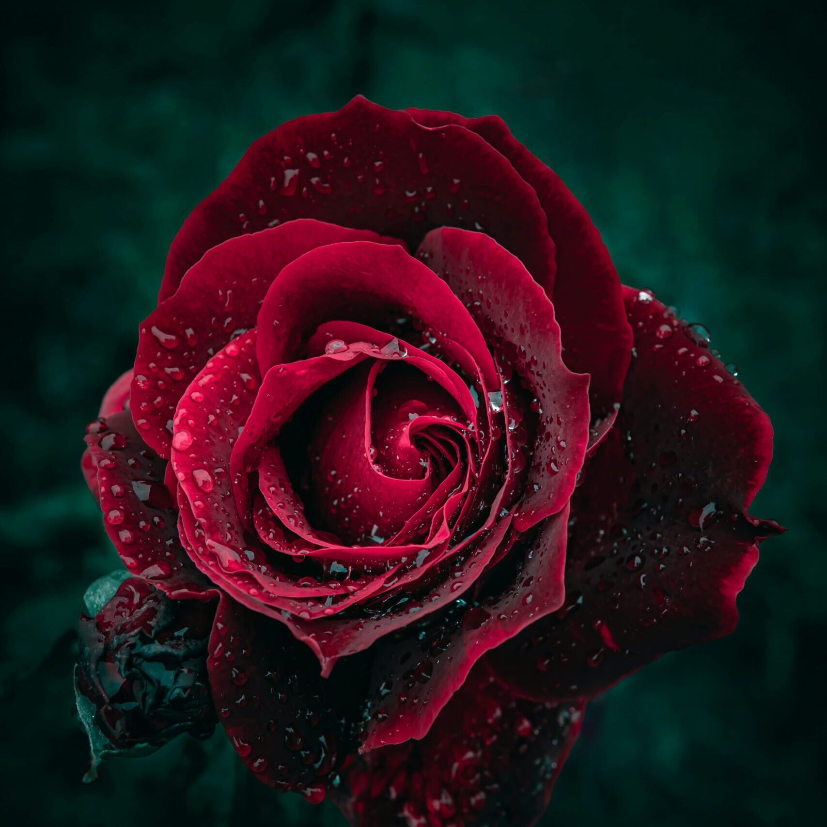 wyxina-tresse-8umNPe4JobI-unsplash
